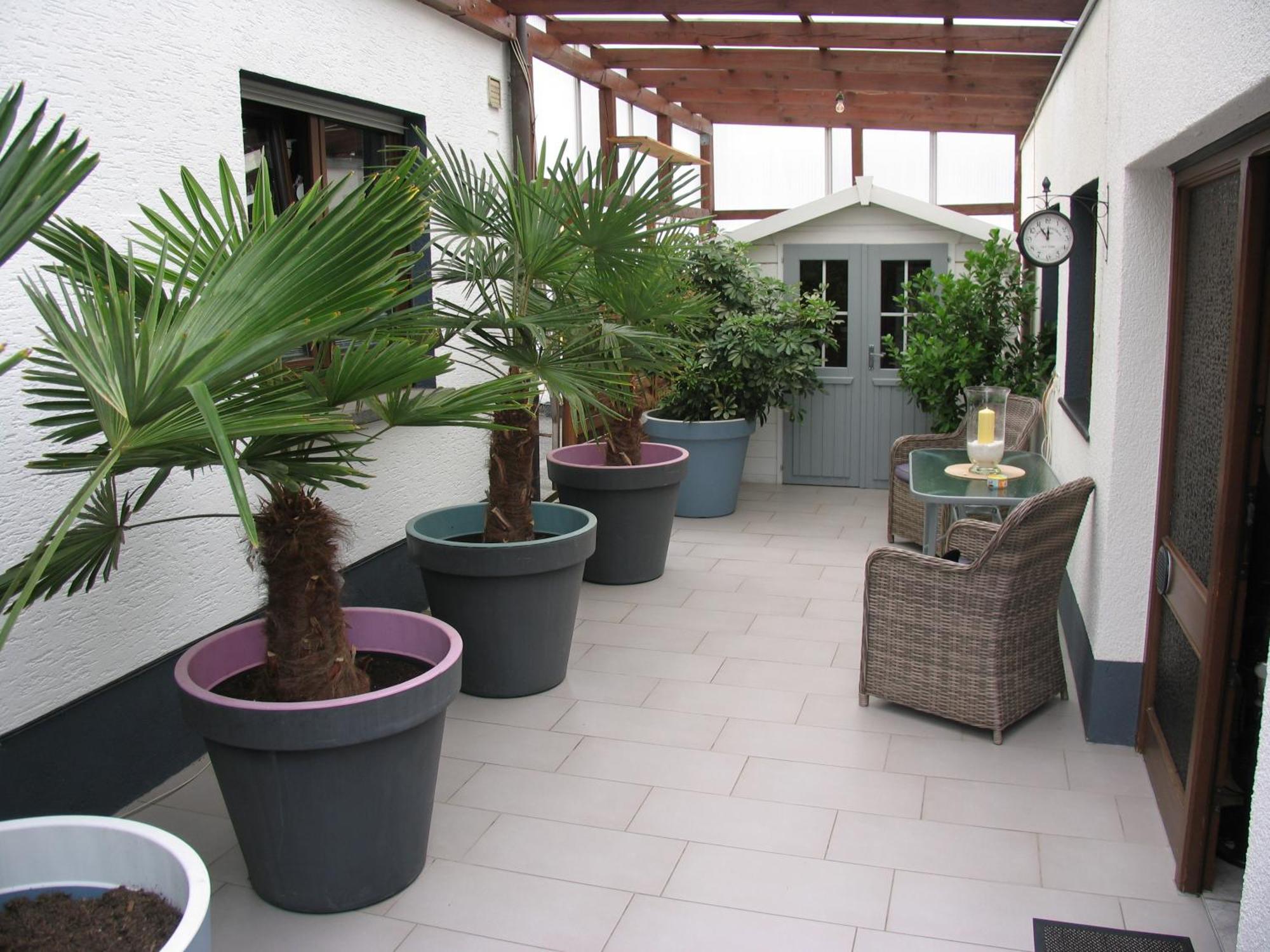 Ferienwohnung Pargen Bullay Exterior photo
